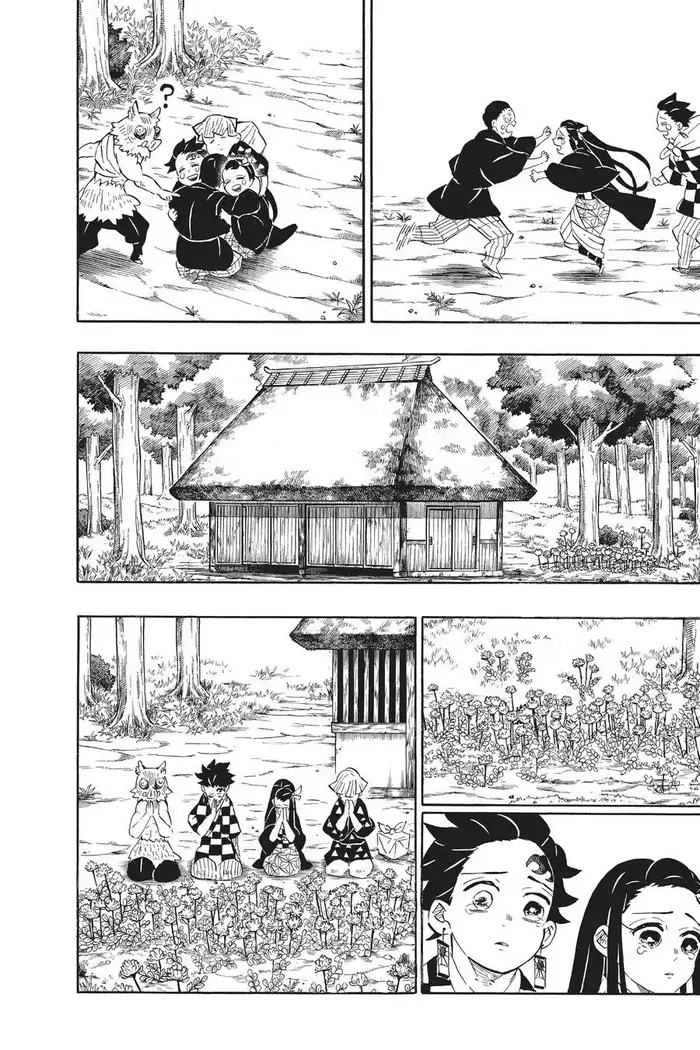 Demon Slayer Chapter 204 image 25_optimized